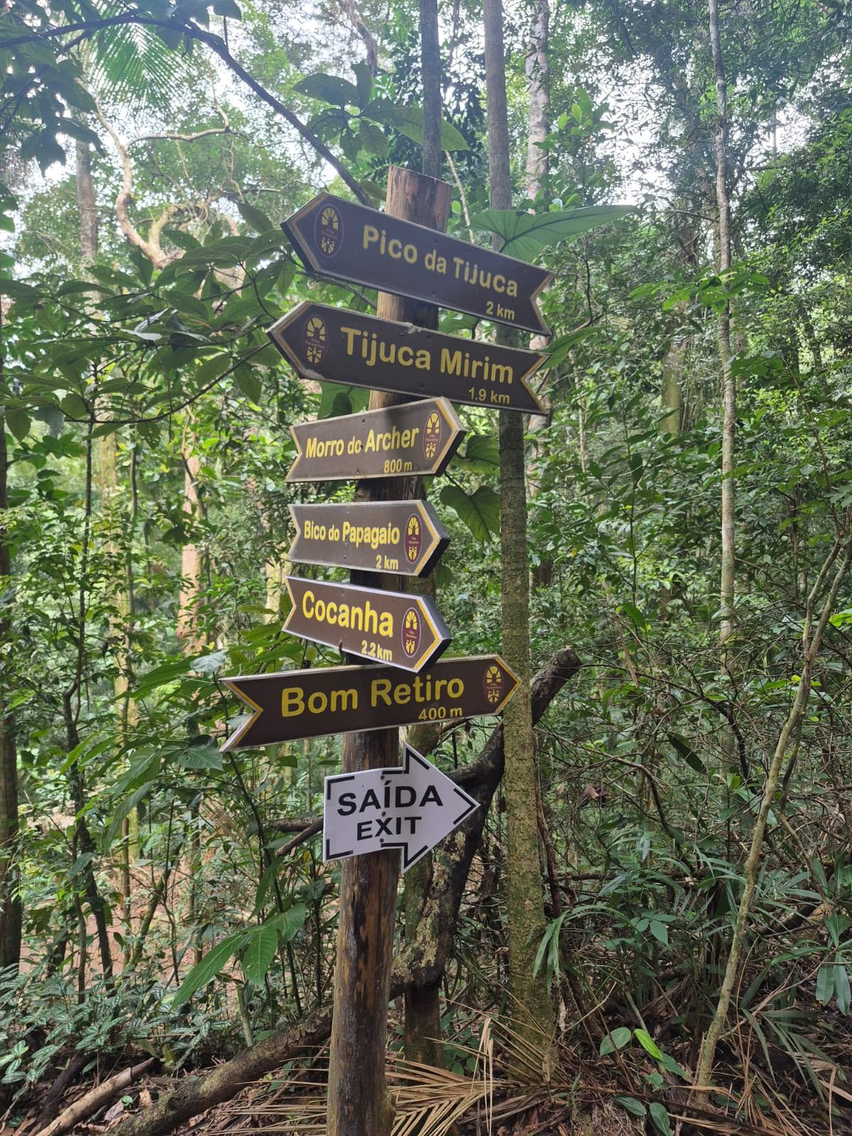 Placas indicando trilhas na Floresta da Tijuca